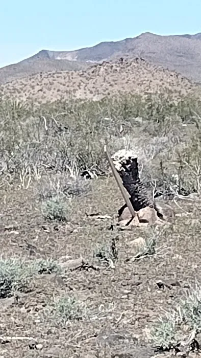 Canyon Cabin Camping Picture 5