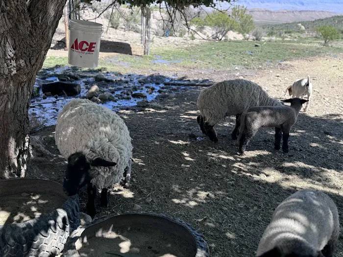 Aravada Springs Campground Picture 3