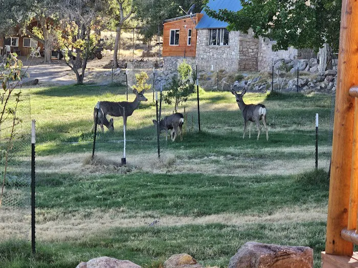 Aravada Springs Campground Picture 2
