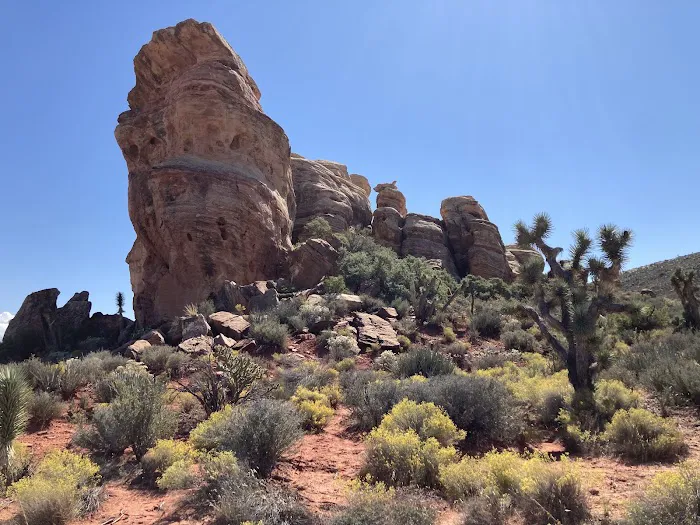 Aravada Springs Campground Picture 10