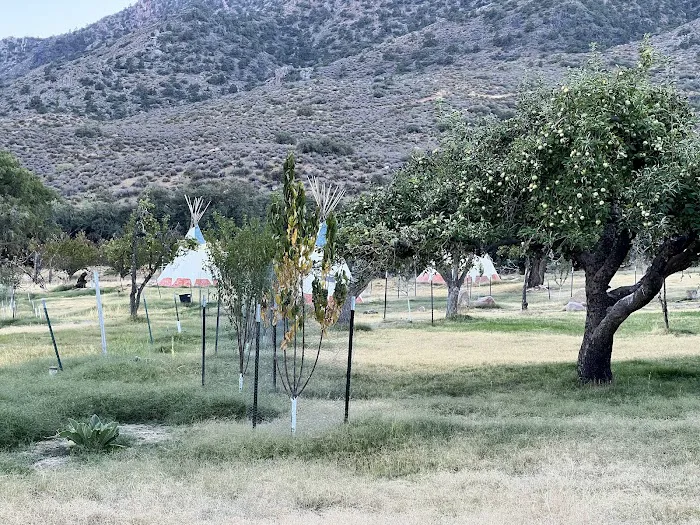 Aravada Springs Campground Picture 9