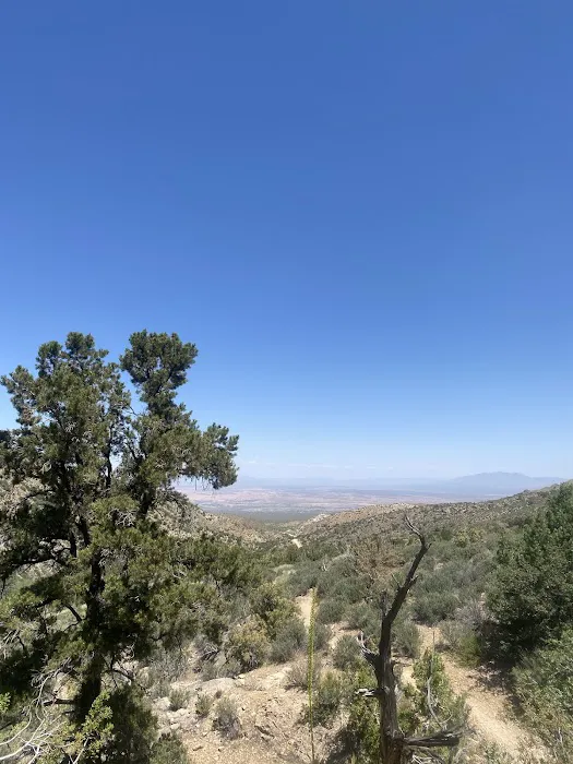 Lime Kiln Canyon Climber's Camp Picture 1