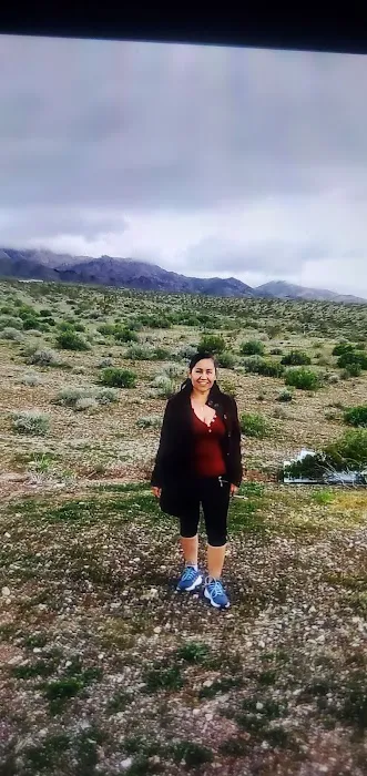 Terreno acres Antonia Rodriguez Picture 2