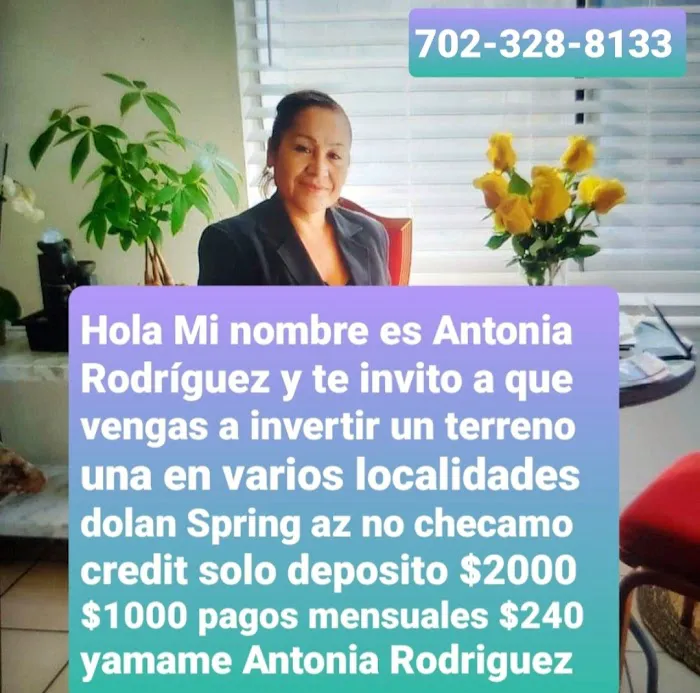 Terreno acres Antonia Rodriguez Picture 5