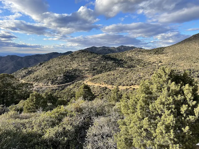 Packsaddle Campground Picture 2