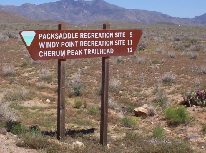 Packsaddle Campground Picture 7