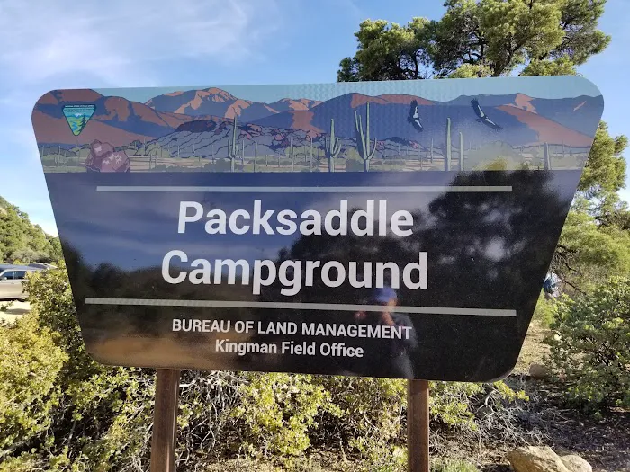 Packsaddle Campground Picture 9