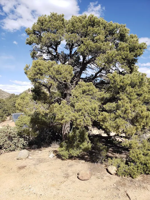 Packsaddle Campground Picture 5