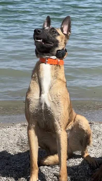 Astin Cove Picture 5