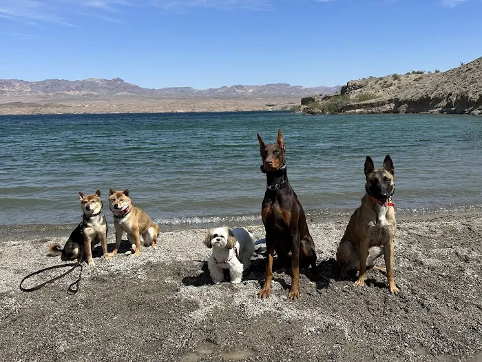 Astin Cove Picture 3