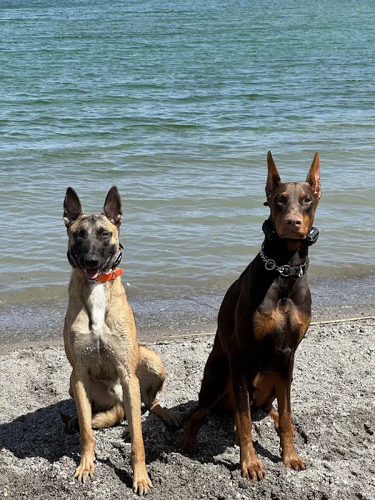 Astin Cove Picture 1