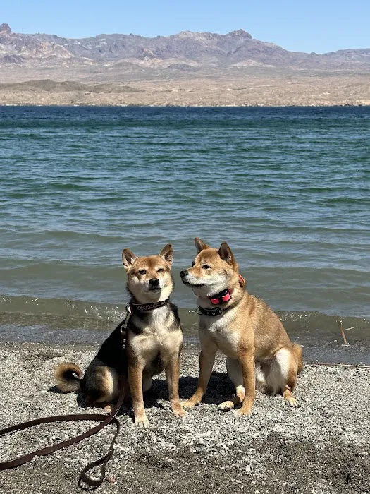 Astin Cove Picture 7