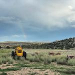 Cottonwood Cove Campground