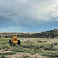 Cottonwood Cove Campground ico