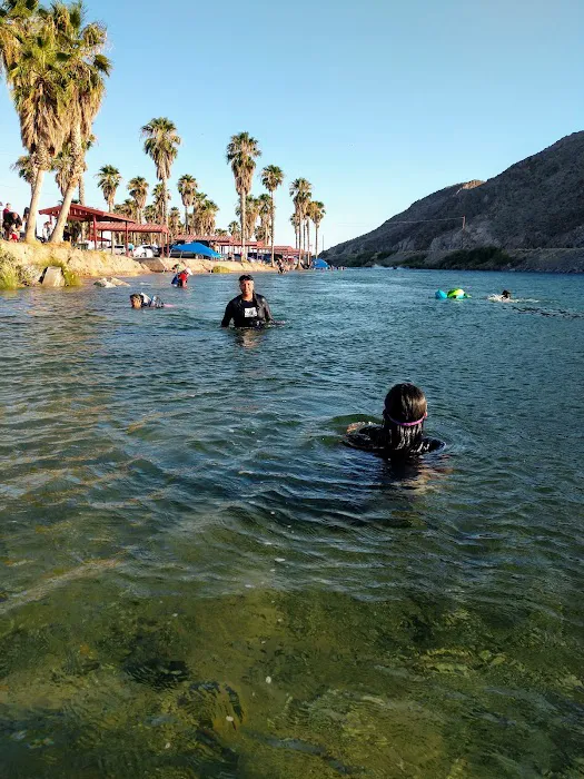 Davis Campgrounds Picture 5