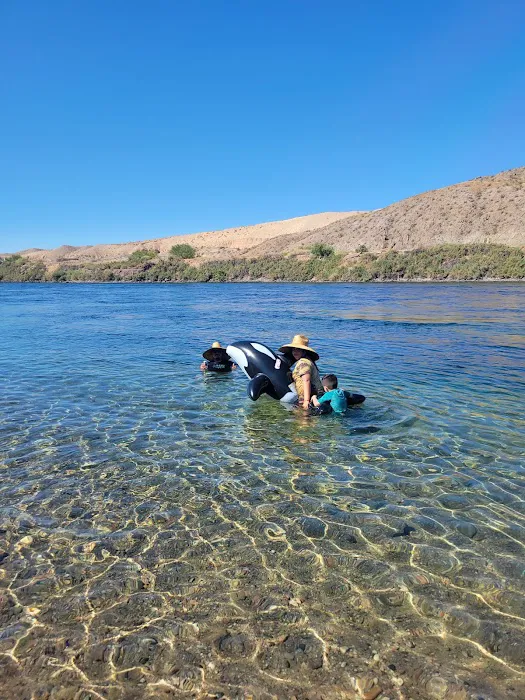 Davis Campgrounds Picture 6