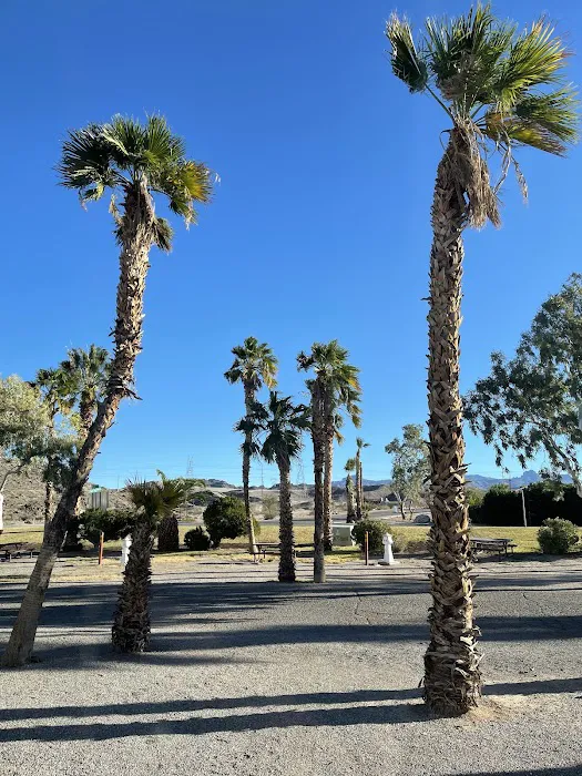 Davis Camp Park Picture 1