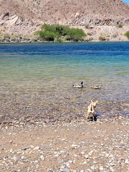 Davis Camp Park Picture 2