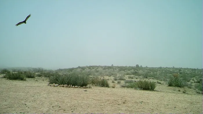 The Permaculture Paradise Village Picture 3