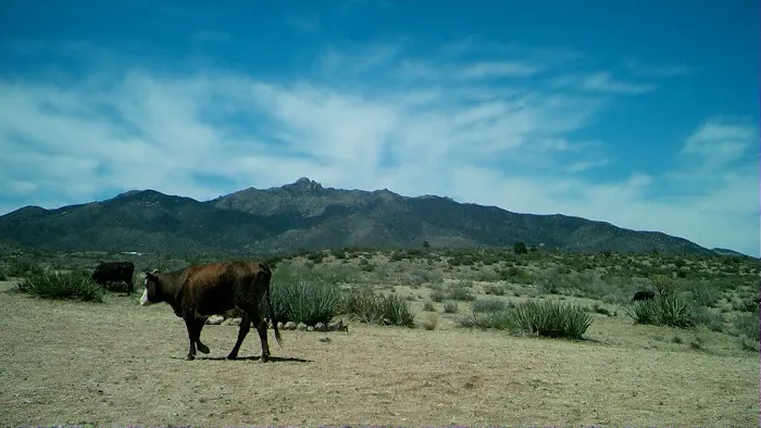 The Permaculture Paradise Village Picture 1