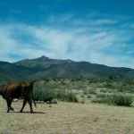 The Permaculture Paradise Village