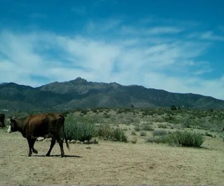 The Permaculture Paradise Village