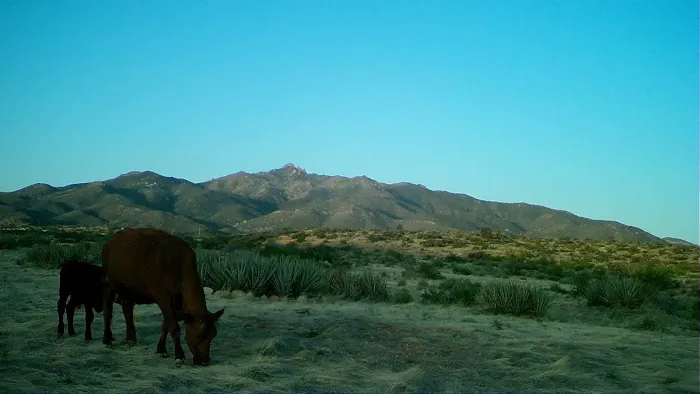 The Permaculture Paradise Village Picture 6