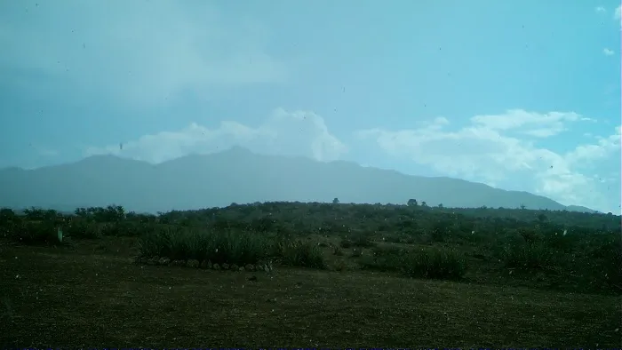 The Permaculture Paradise Village Picture 4