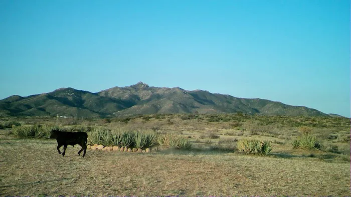 The Permaculture Paradise Village Picture 10