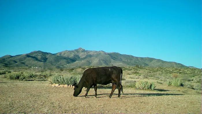 The Permaculture Paradise Village Picture 9