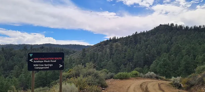 Wild Cow Campground Picture 6