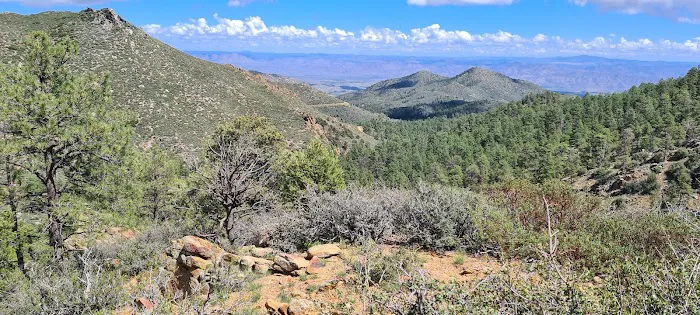 Wild Cow Campground Picture 9