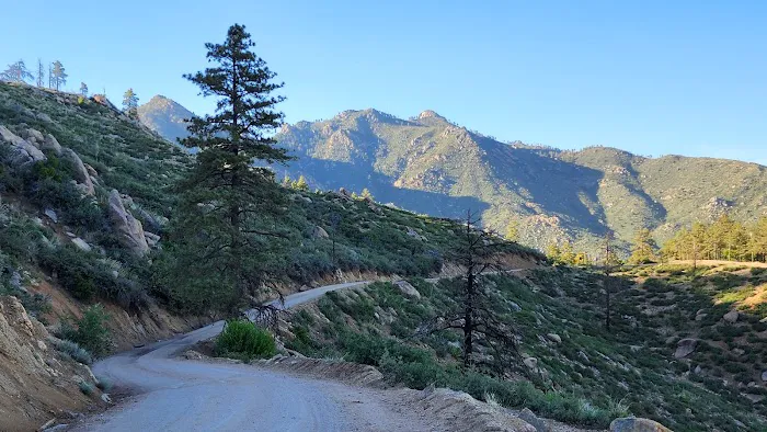 Wild Cow Campground Picture 10