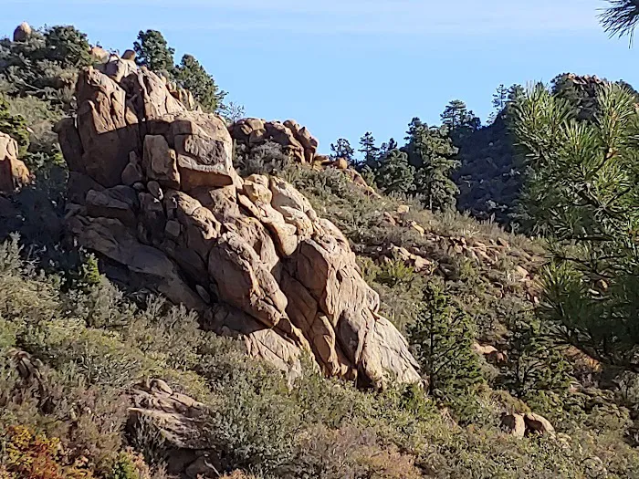 Wild Cow Campground Picture 7