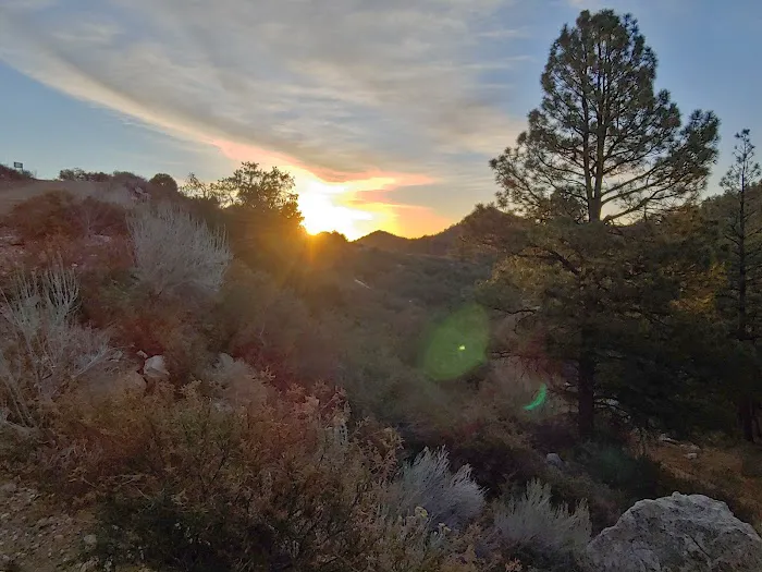 Wild Cow Campground Picture 4