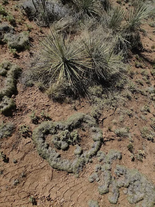 Healing winds Route 66 Picture 10