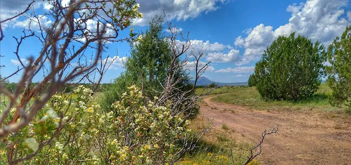 A Spark in the Dark Campground Picture 3