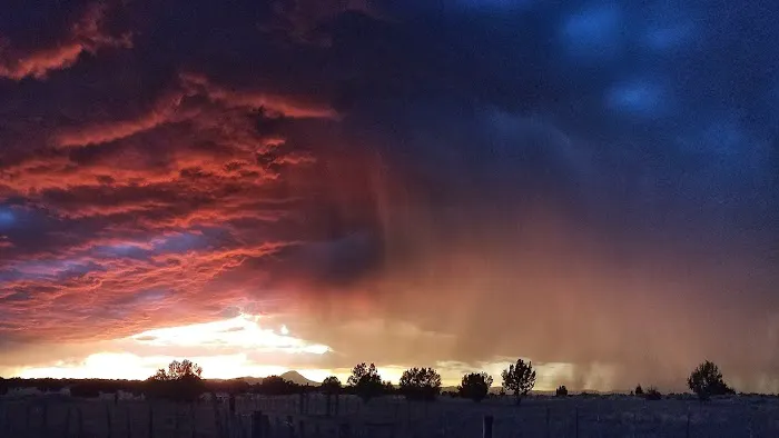 A Spark in the Dark Campground Picture 6