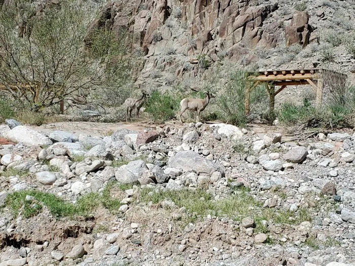 Diamond Creek Beach Picture 2