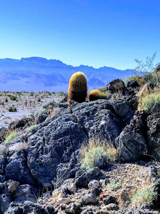 Gass Peak Road Camping Area Picture 5