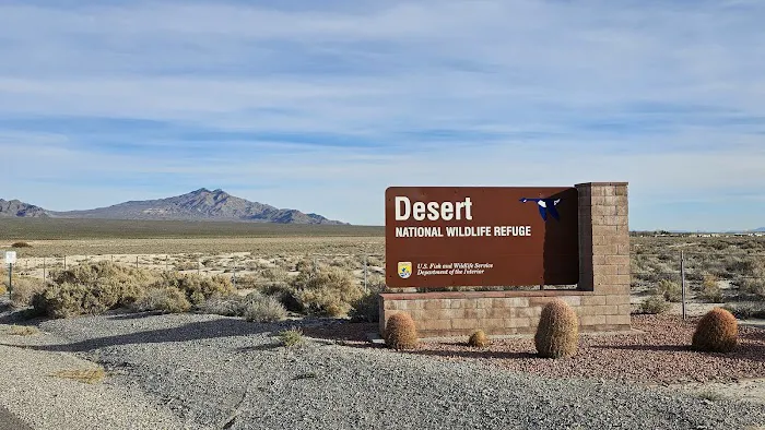 Gass Peak Road Camping Area Picture 2