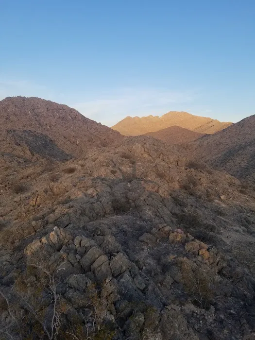 Gass Peak Road Camping Area Picture 8