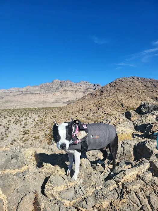 Gass Peak Road Camping Area Picture 10