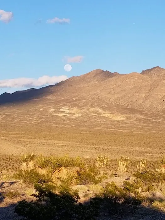 Gass Peak Road Camping Area Picture 9