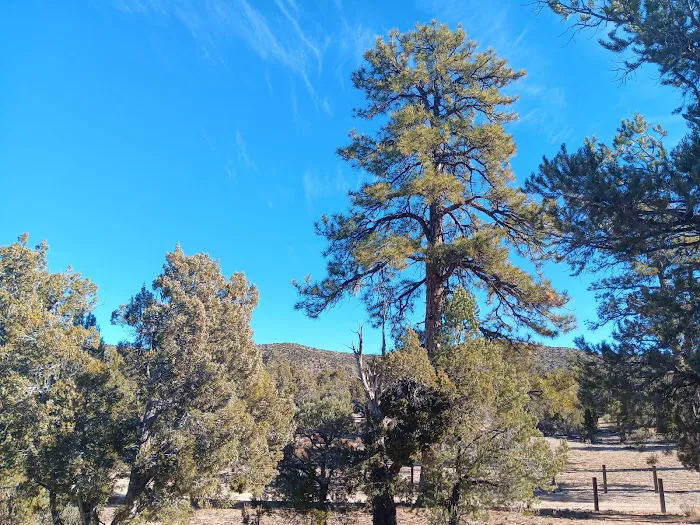 Desert Pass Campground Picture 2