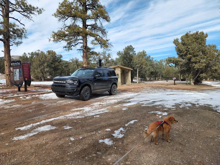 Desert Pass Campground Picture 3