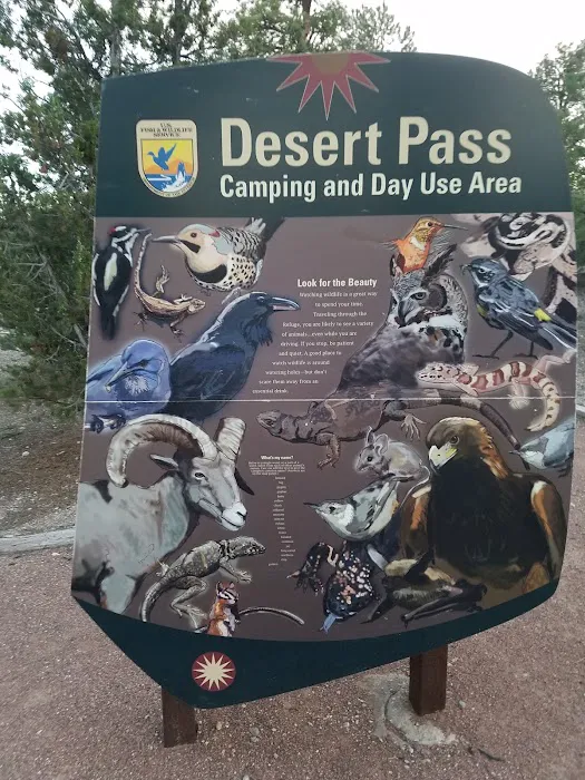 Desert Pass Campground Picture 7