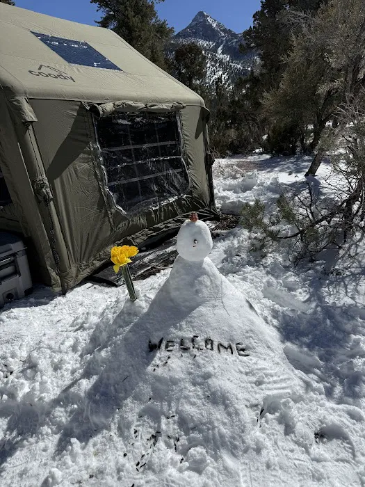 McWilliams Campground Picture 4