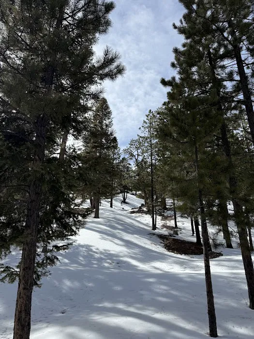 McWilliams Campground Picture 3