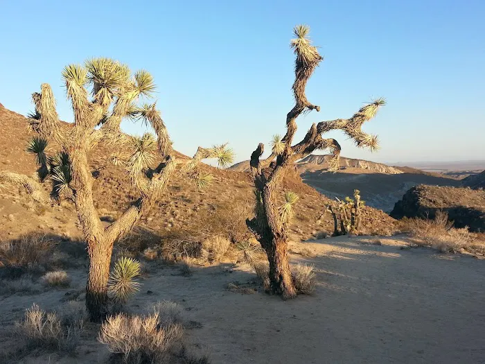 Red Rock Canyon Campground Picture 3